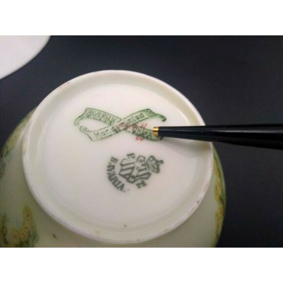 P.T. Tirschenreuth Bavaria Hand Painted Teacup and Saucer - Picture 4 of 7